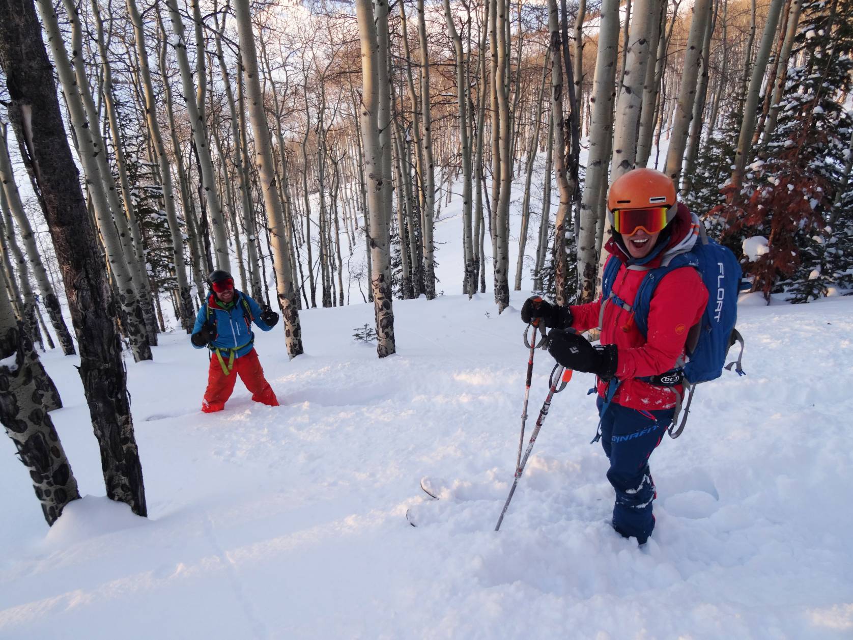 Bluebird Backcountry Skiing Earn Your Turns in the Comfort of a Resort