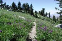 The 6 Best Hikes Near Boise The 6 Best Hikes Near Boise