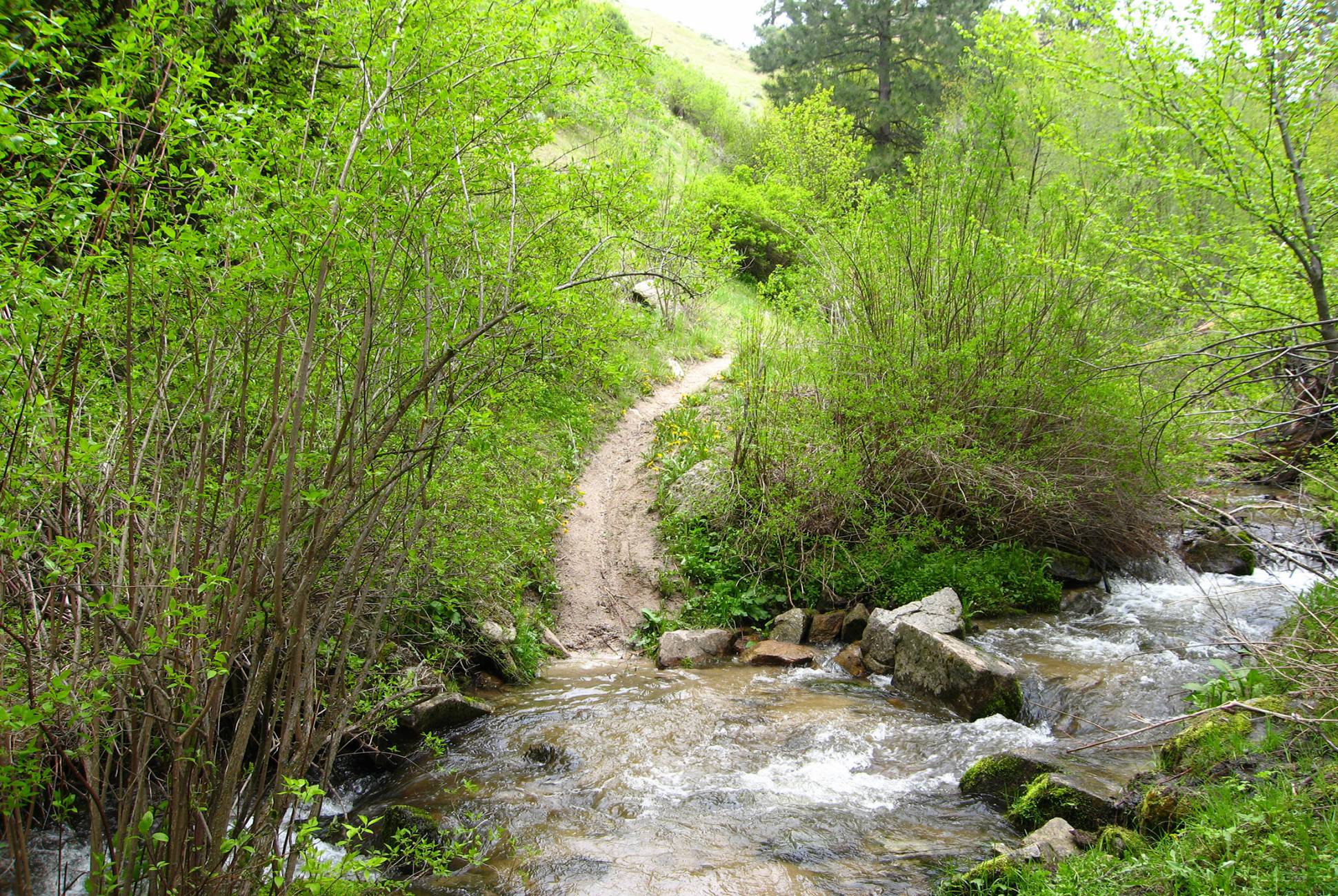 The 6 Best Hikes Near Boise GearJunkie