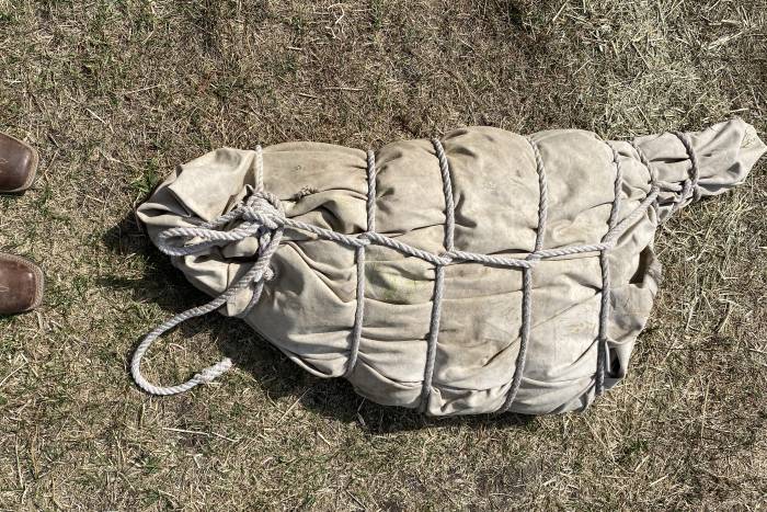 packing mules, Royal Tine Guide School packing mules, Royal Tine Guide School