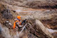 The Best Bolt-Action Hunting Rifles Under $1,000 best hunting rifle