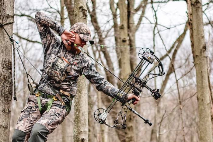 How to Choose a Deer Stand
