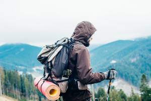 What Is ‘Bear Country’? Everything to Know Before You Go