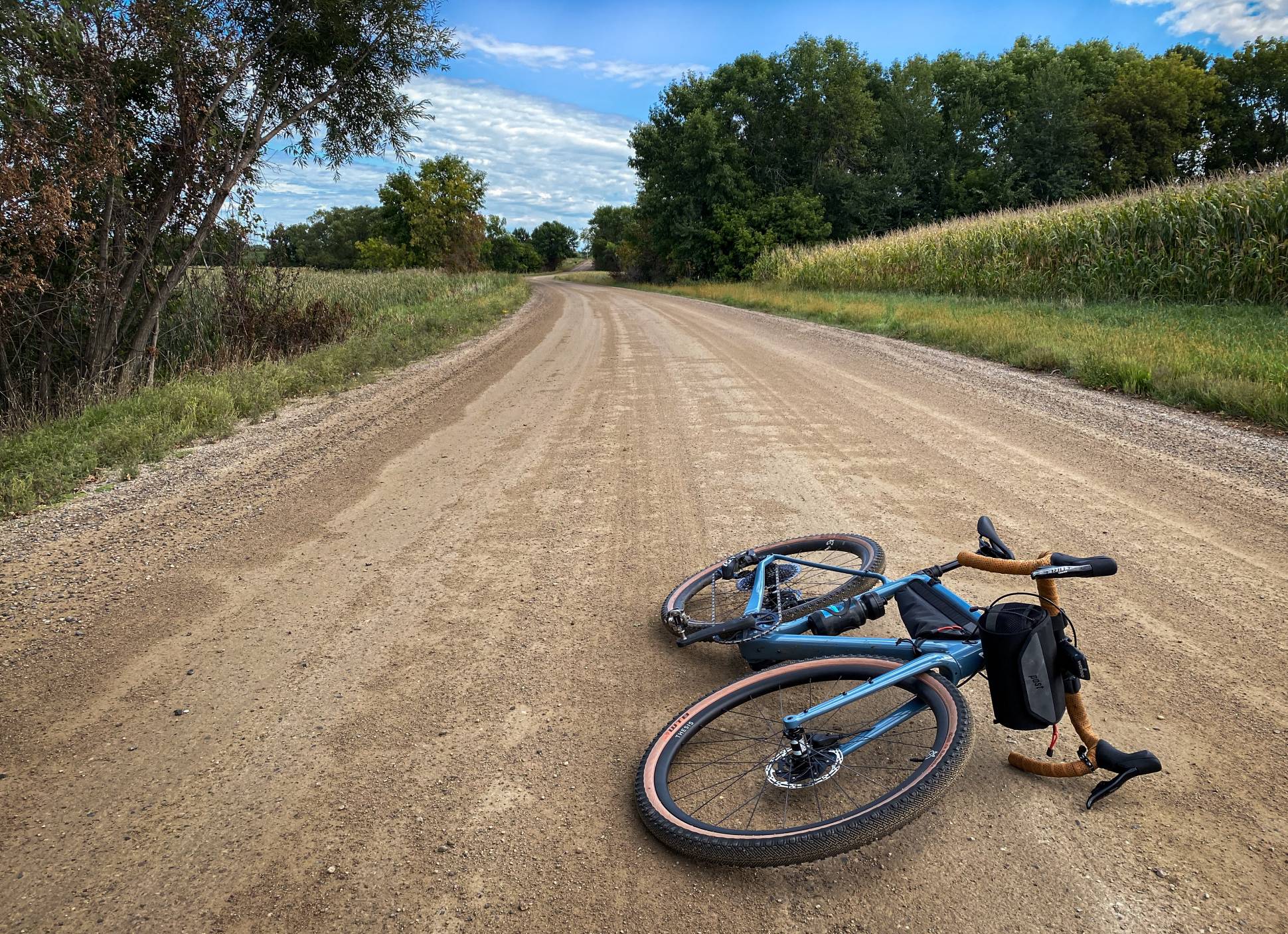 Trail donkey 3 picture