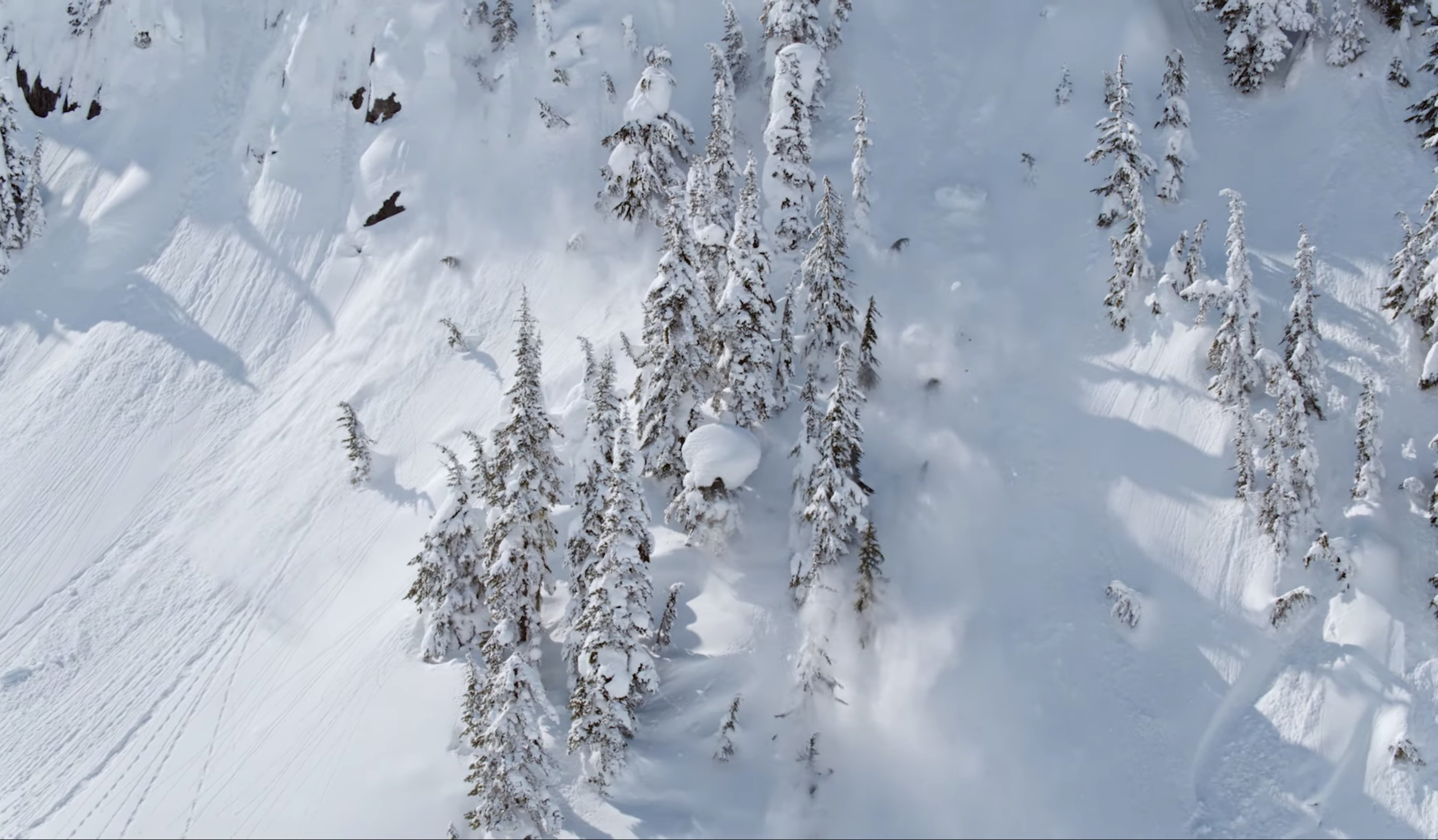 british columbia avalanche