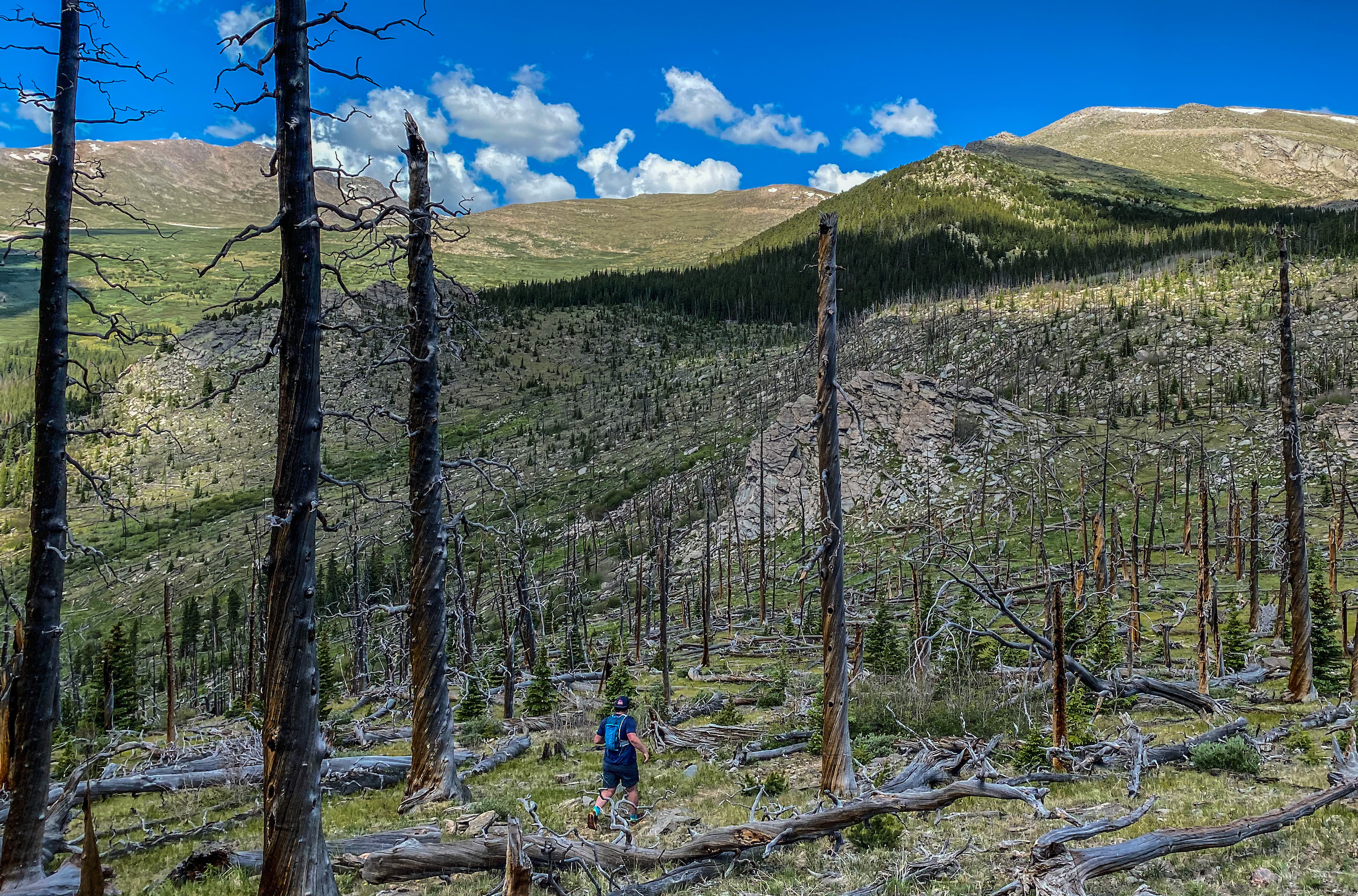 leadville 100k vert challenge runner leadville 100k vert challenge