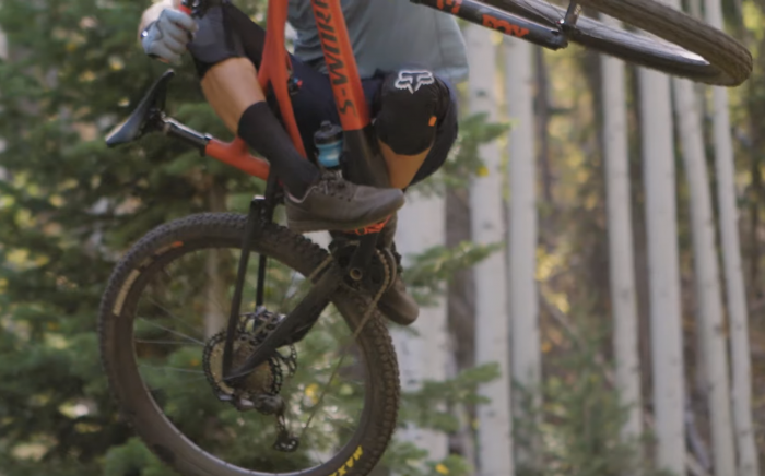 specialized stumpjumper