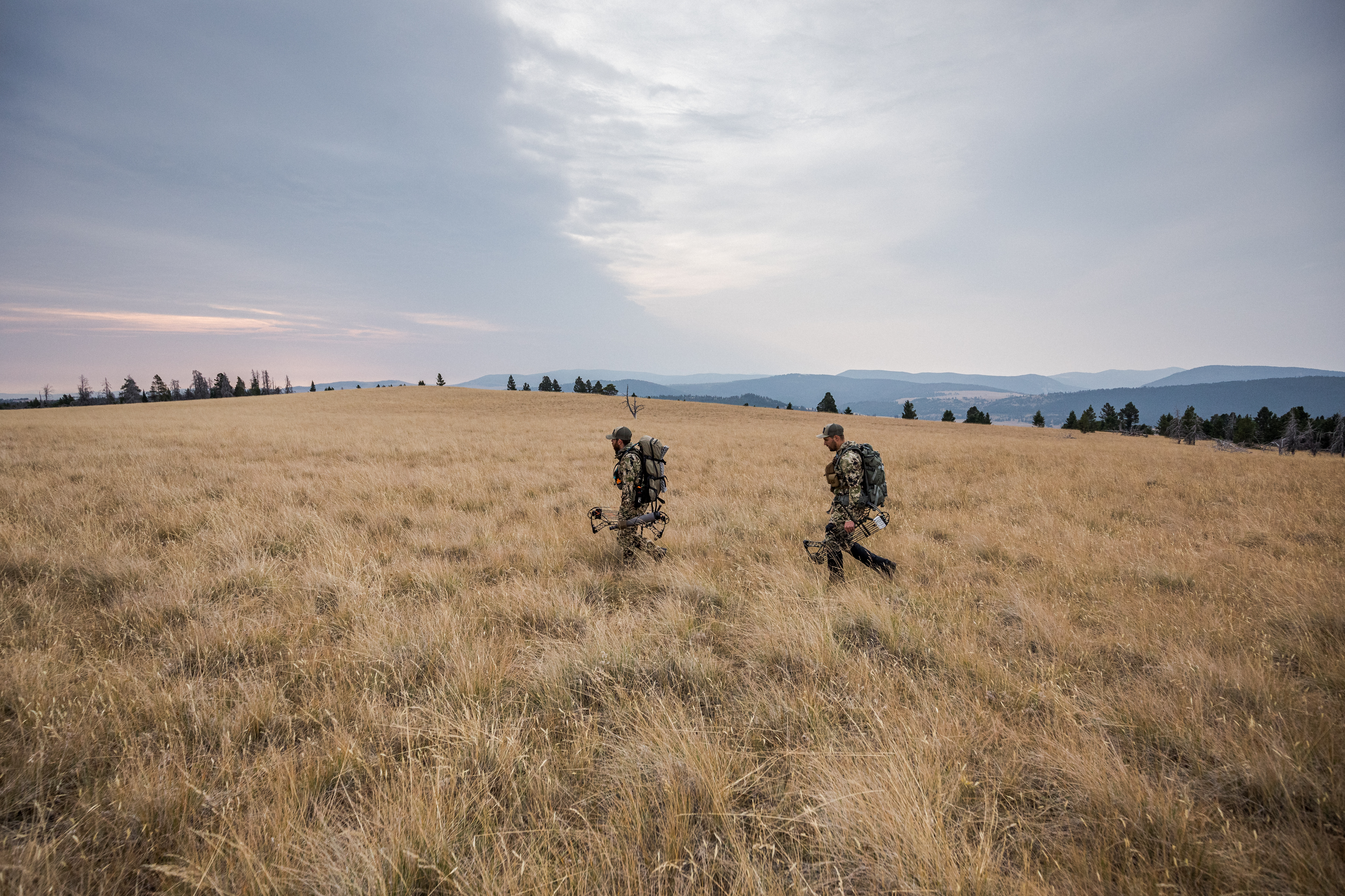 COLL_20200923_1366 COLL_20200923_1366