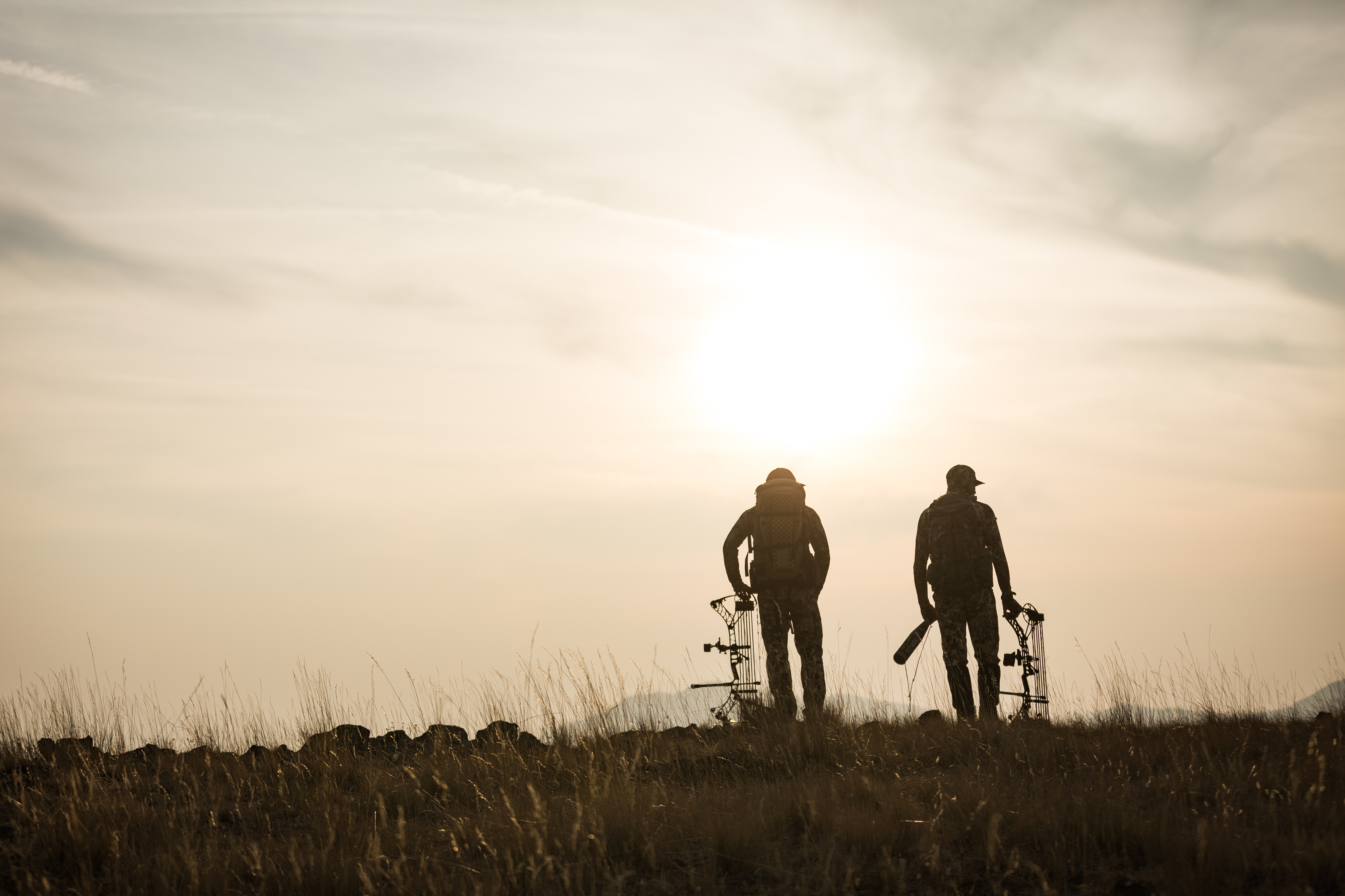 COLL_20200923_1483 COLL_20200923_1483