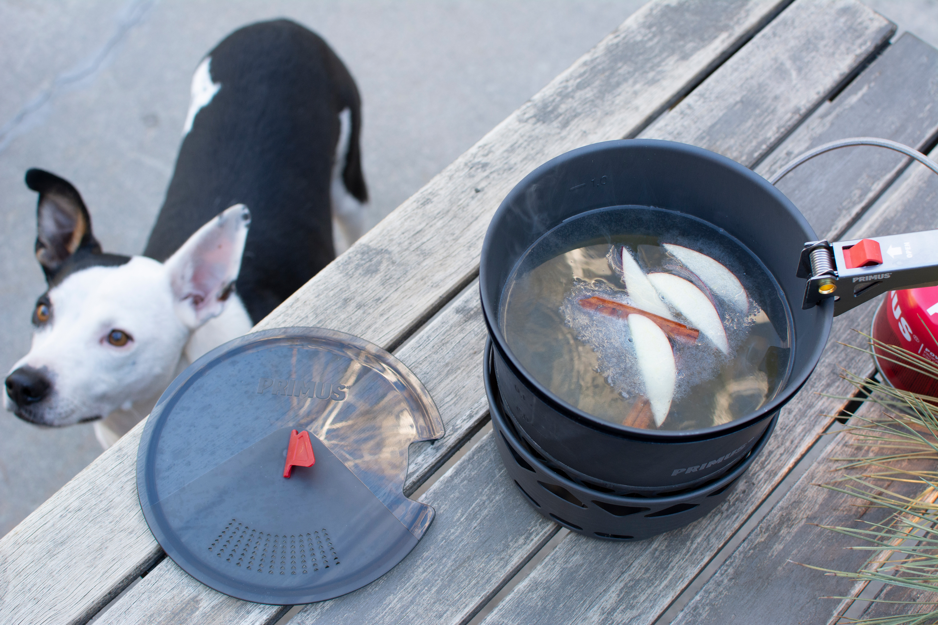 Apple Brandy Hot Toddy Preparation