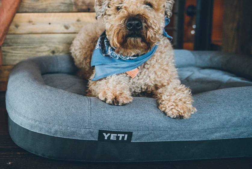 YETI Trailhead Dog Bed GearJunkie Holiday Gift Guides