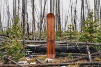 Arbor Snowboards 2021