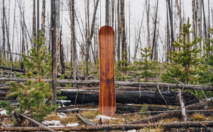 Arbor Snowboards 2021