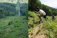 cauchon ultrarunning elevation record film