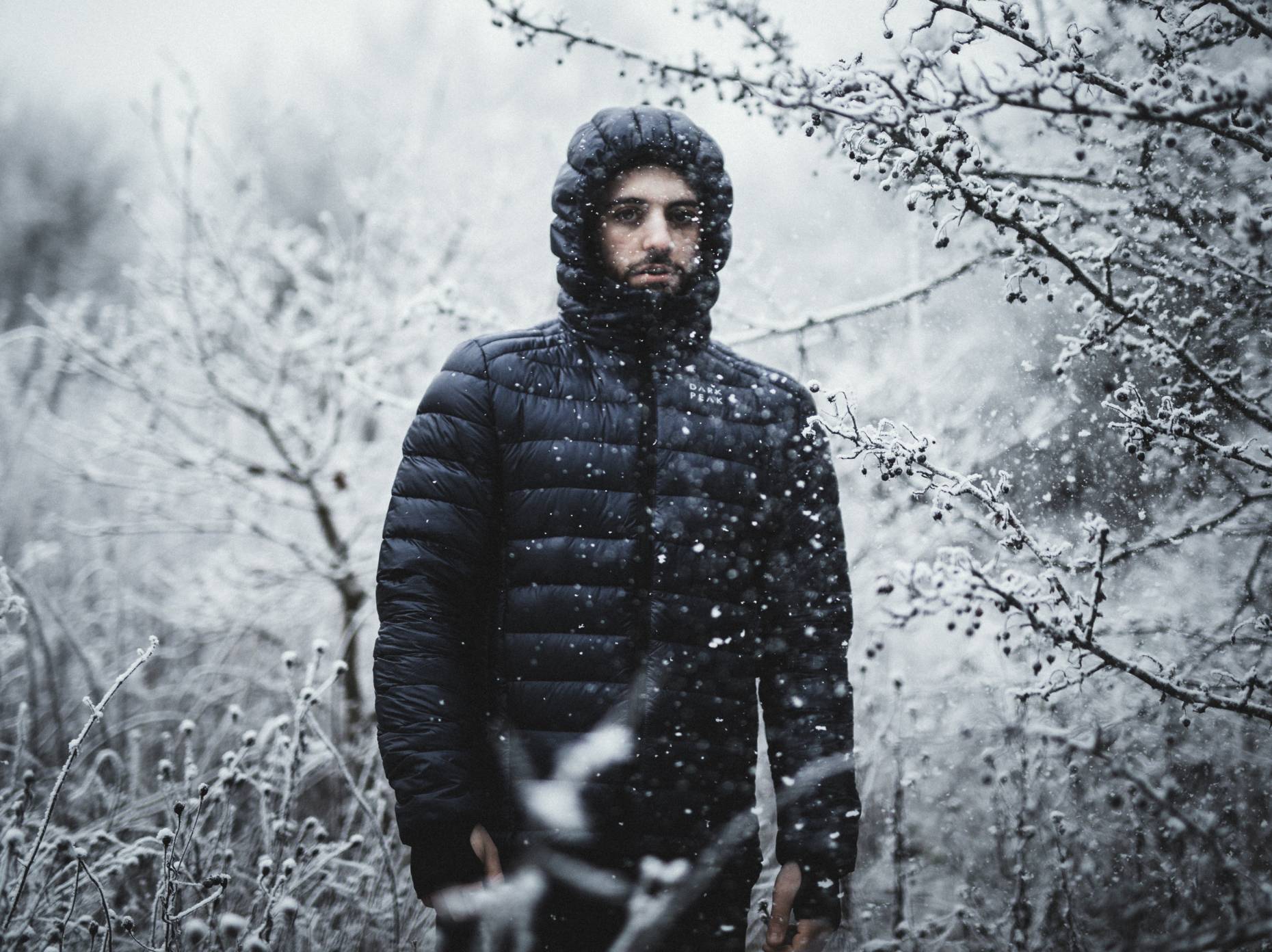 best affordable down jackets