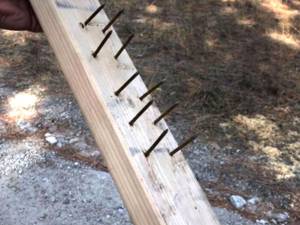 Guilty Plea: Booby-Trapper Targets Bikes, Snares Hiker