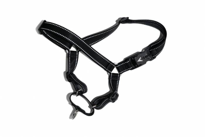 atlas pet company lifetime harness