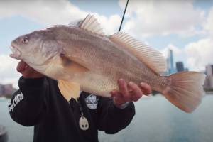 Watch: An Unconventional Bass Fishing Jig With Unlikely Beginnings