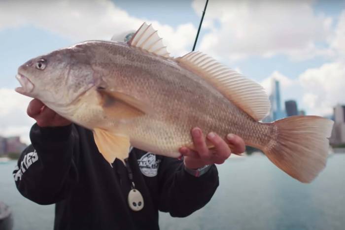 Watch: An Unconventional Bass Fishing Jig With Unlikely Beginnings