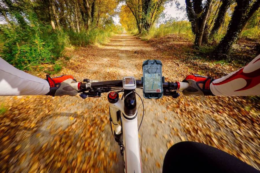 The Best Bike Phone Mounts of 2024 GearJunkie