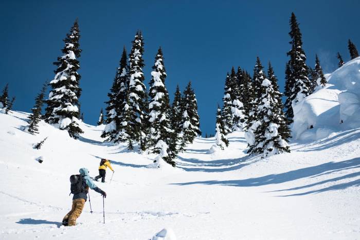 two backcountry skiers looking uphill on sunny day