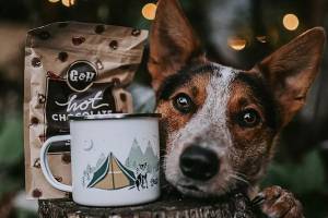 Emerging Gear: Canine Rescue Coffee, The North Face Shoe ‘Revolution,’ and More