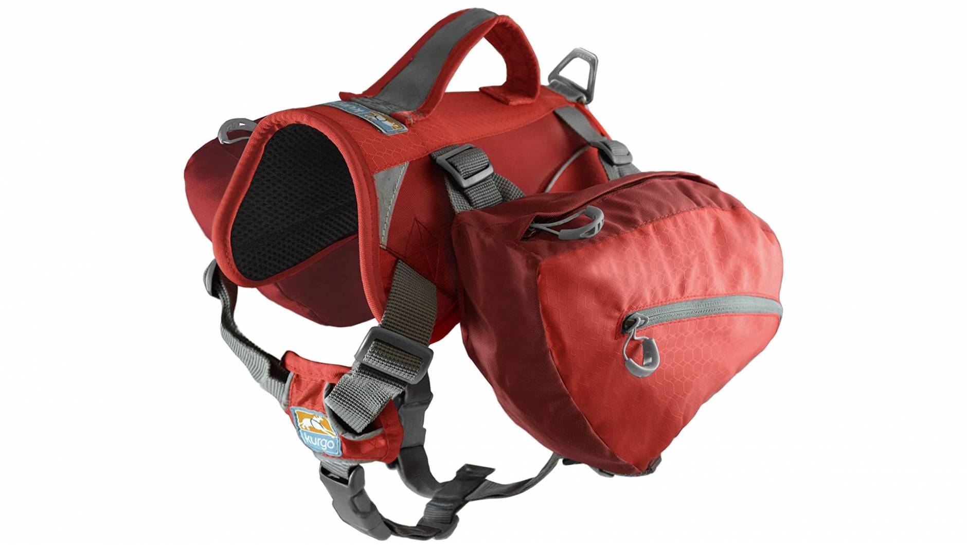 The Best Dog Backpacks of 2024