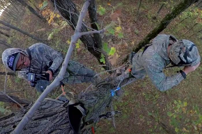 tree stand vs tree saddle