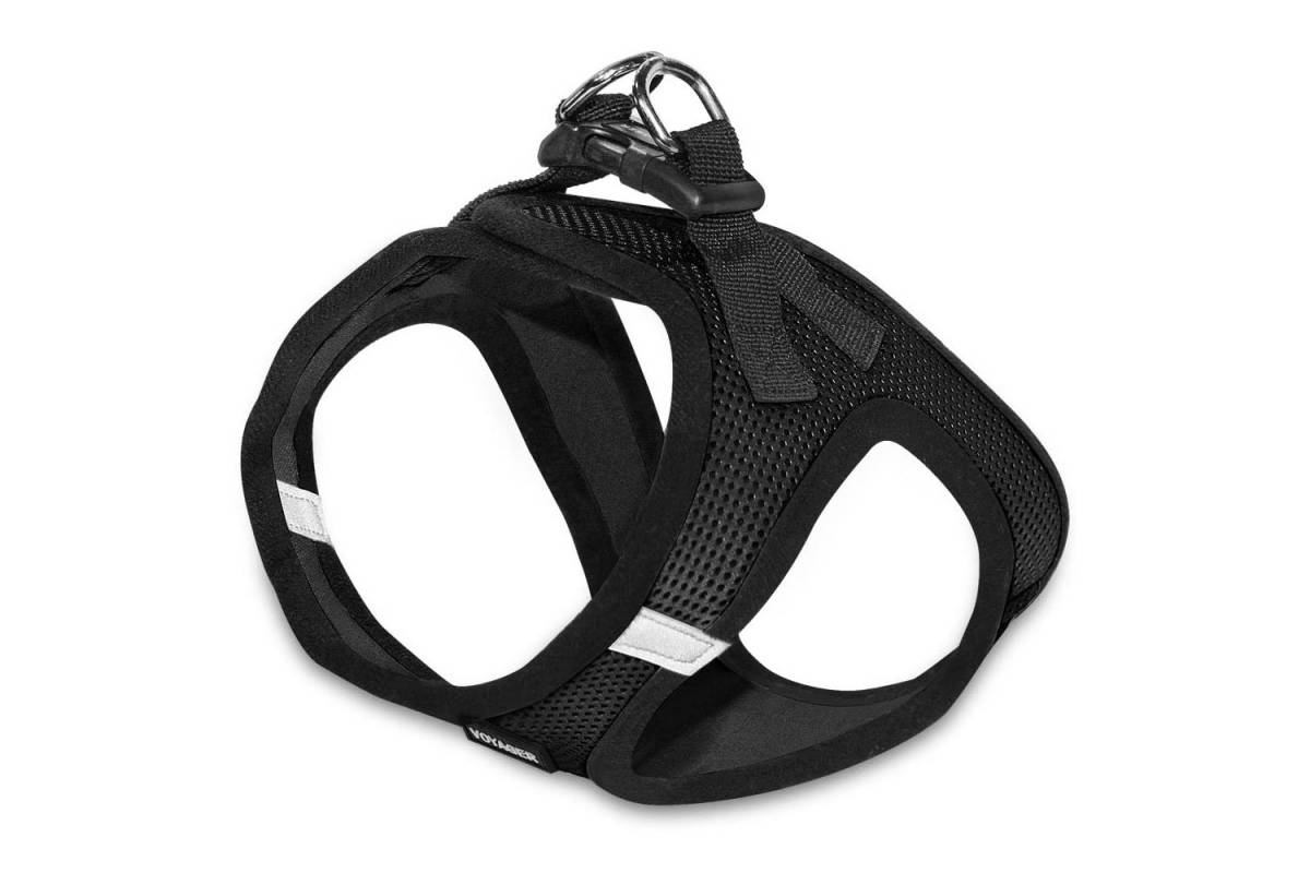 The Best Dog Harnesses of 2024