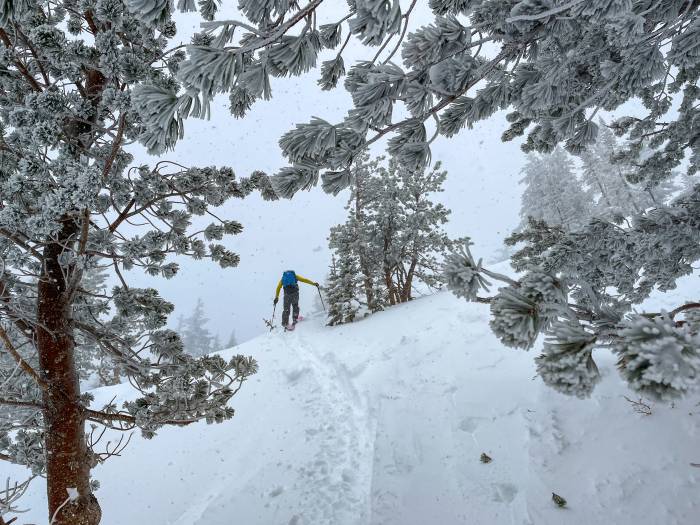 Backcountry Splitboarding in the Wasatch Mountains with Guide Willie Benegas; 57hours