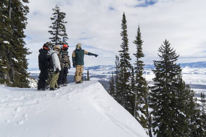 natural selection course preview