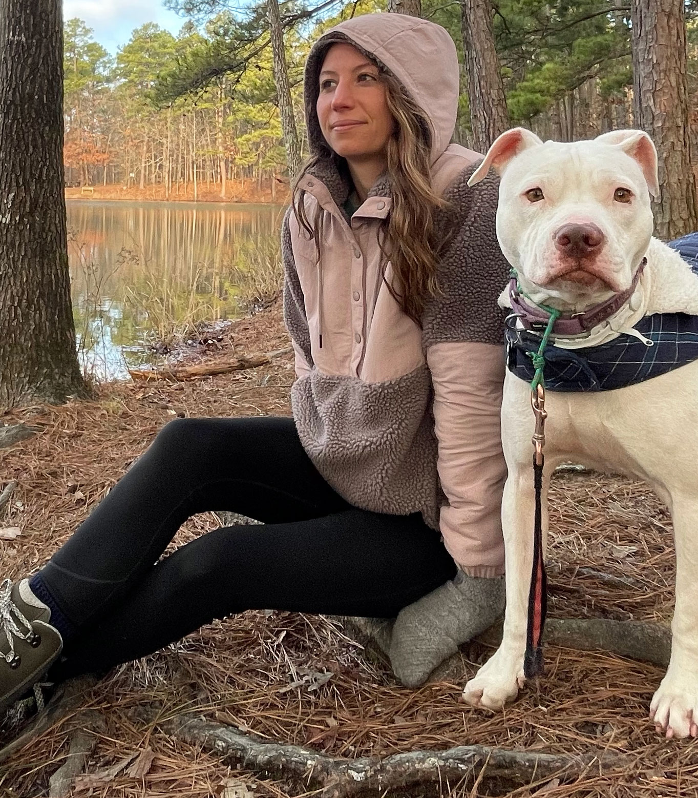 patagonia retro x shelled