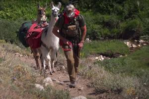 Llamas, Sagebrush, Mule Deer: Check Out a Summer Hunt in Nevada