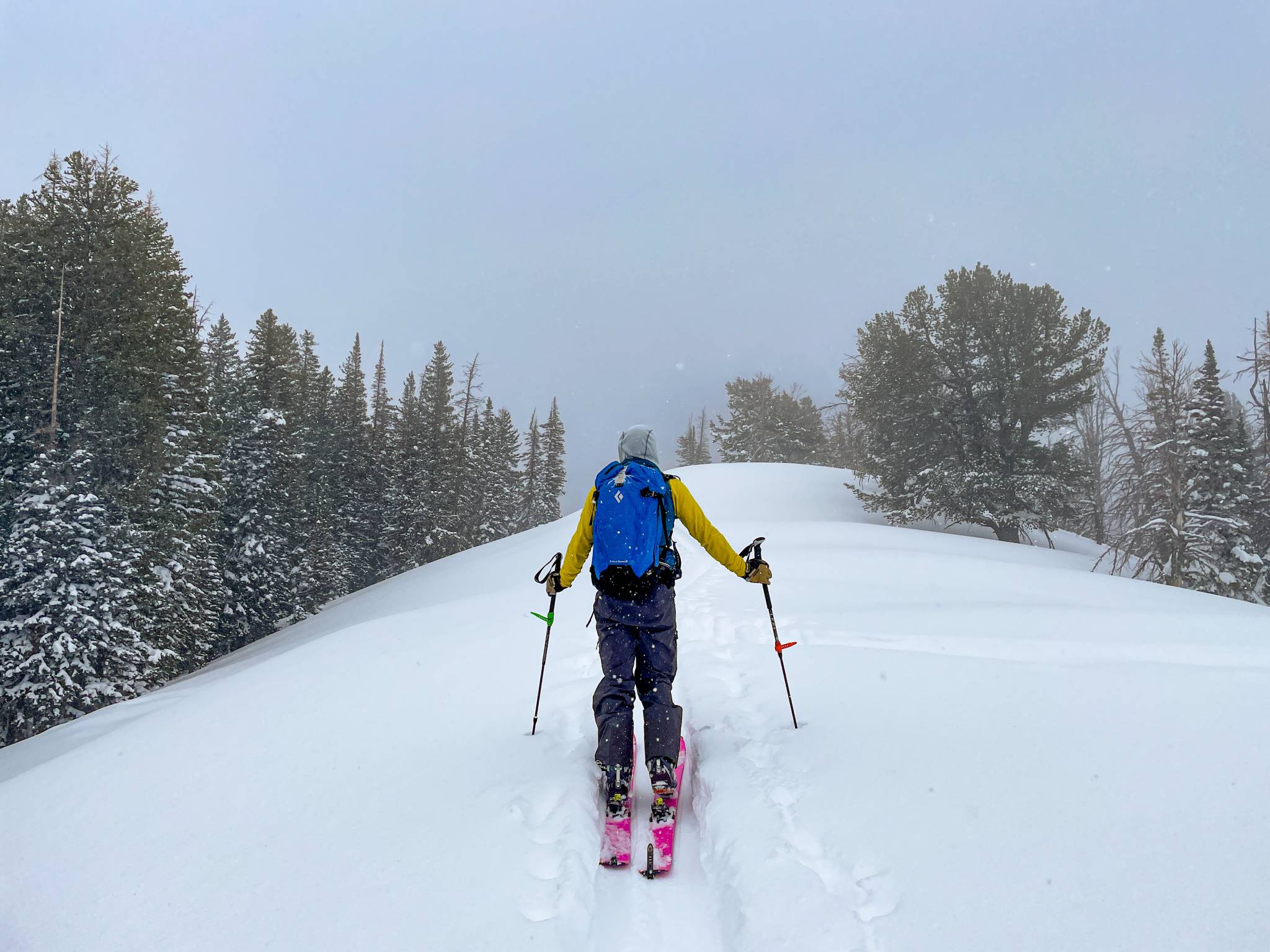 Powder Fever Backcountry Splitboarding With a 57hours Pro Guide