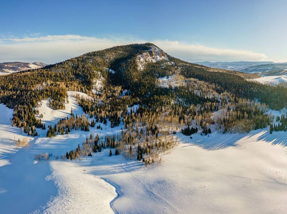 Bluebird Gets the Bear: Backcountry Ski Area Extends to New Peak A view of pine tree and snow covered Bear mountain looking north