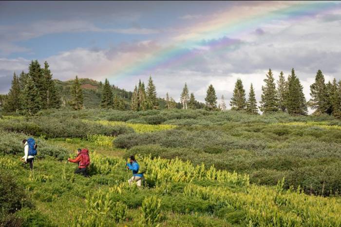 Hiking with Osprey Packs
