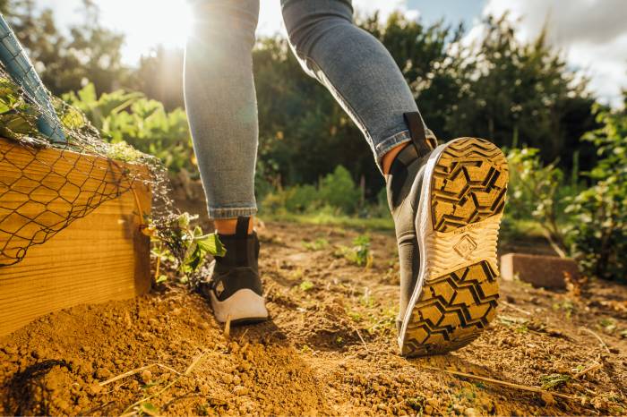 Muck Outscape in garden allotment