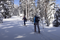 Skiing Crater Lake: The Best Runs This National Park Has to Offer two skiers skinning up very snowy trail