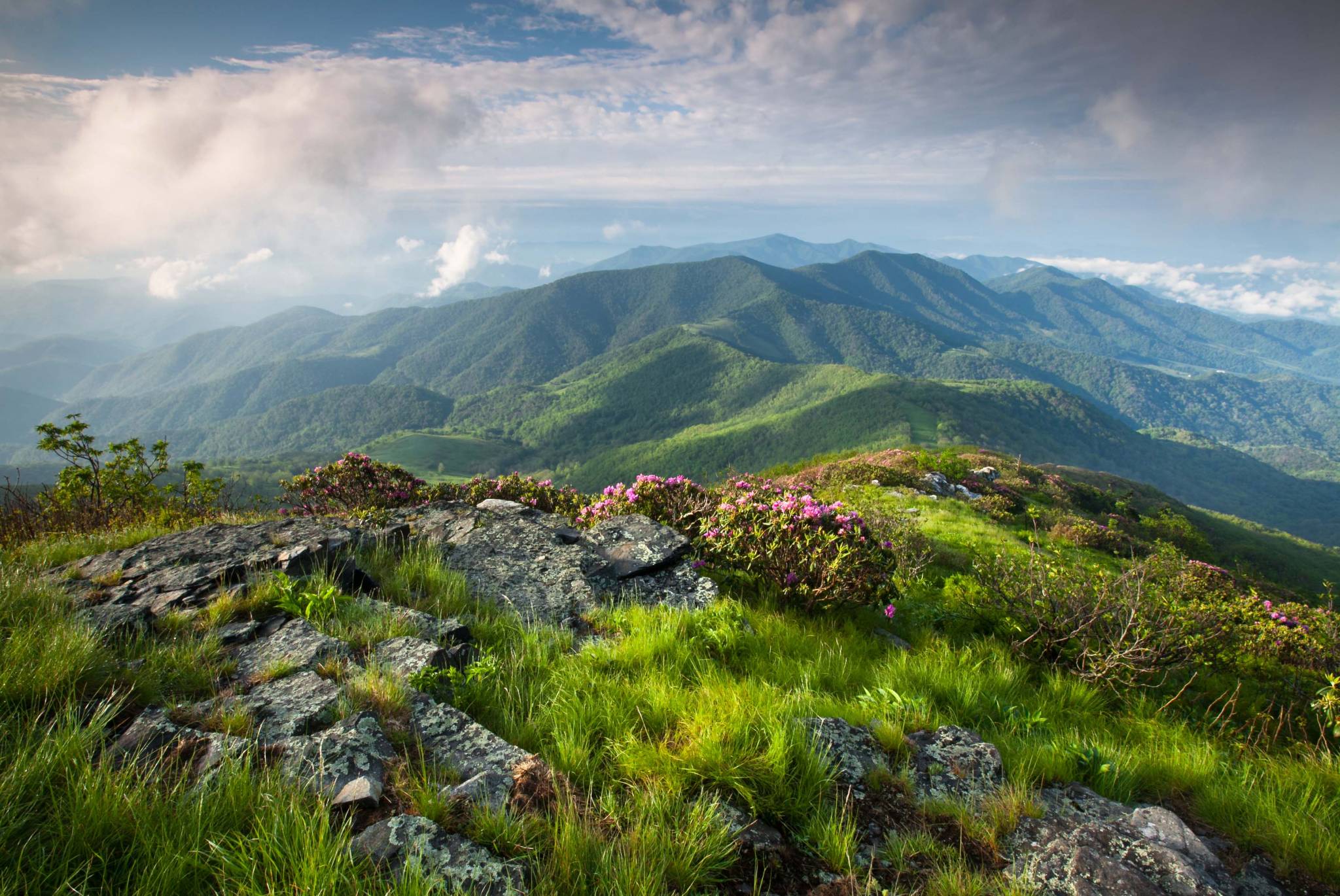North Carolina Legalizes Limited Public Land Hunting on Sundays