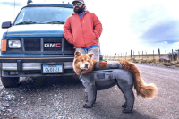 man in red jacket next to GMC truck with his dog in fishing waders