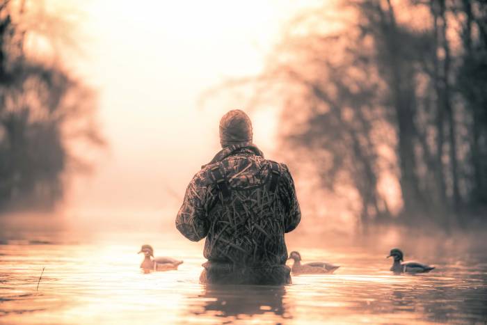 hunter decline, habitat loss