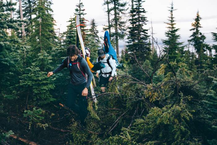 skiers bushwhacking through pacific northwest forest with skis in A-frame setup on packs