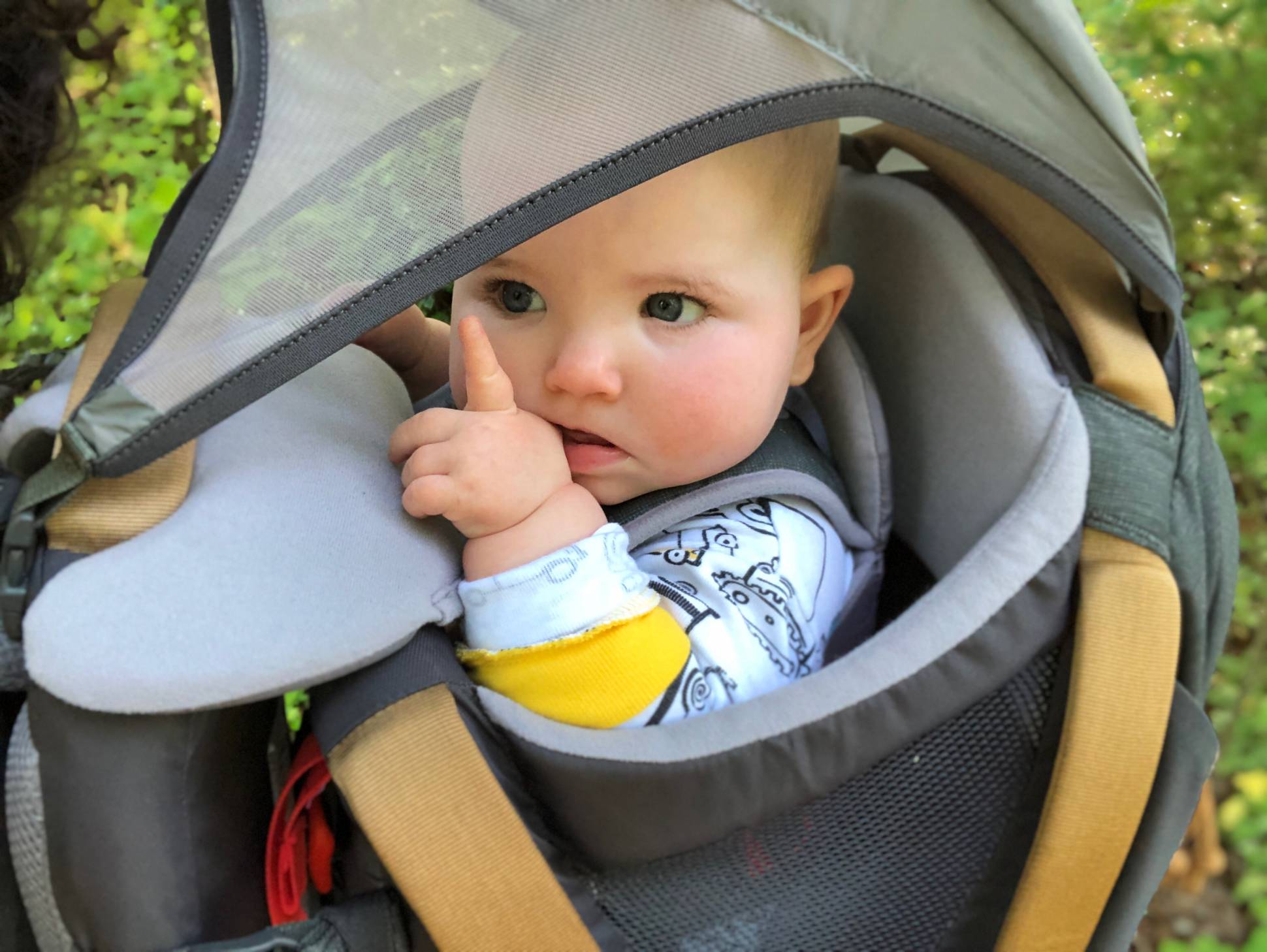 The Best Baby Carriers for Hiking in 2021 GearJunkie