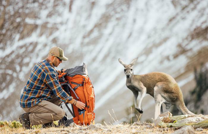man kneeling next to orange pack facing a kangaroo
