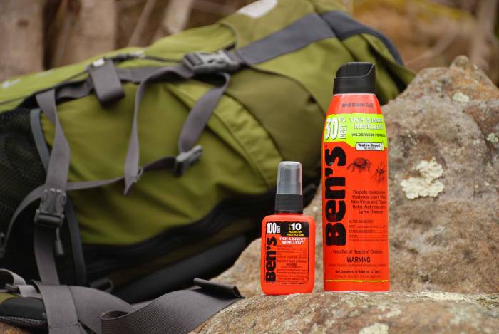 Bugs Be Gone! How to Choose the Right Insect Repellent