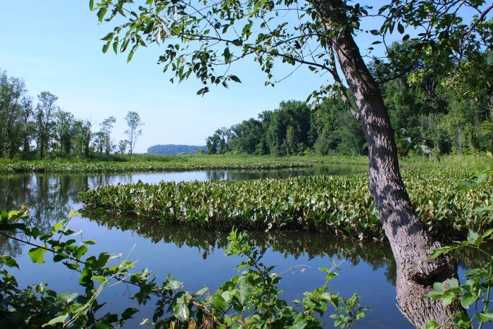 Featherstone National Wildlife Refuge