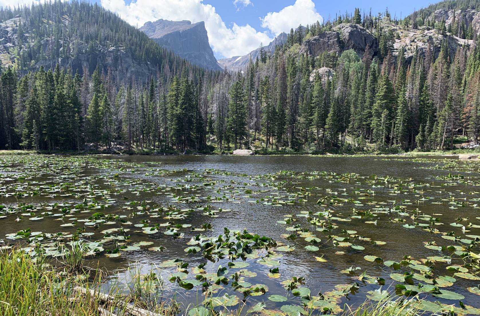 Reserve Now These National Parks Require Timed Entry Reservations for