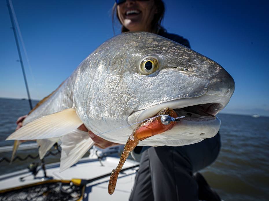 Meet the Redfish: How and Where to Catch a Red Drum Florida redfishing