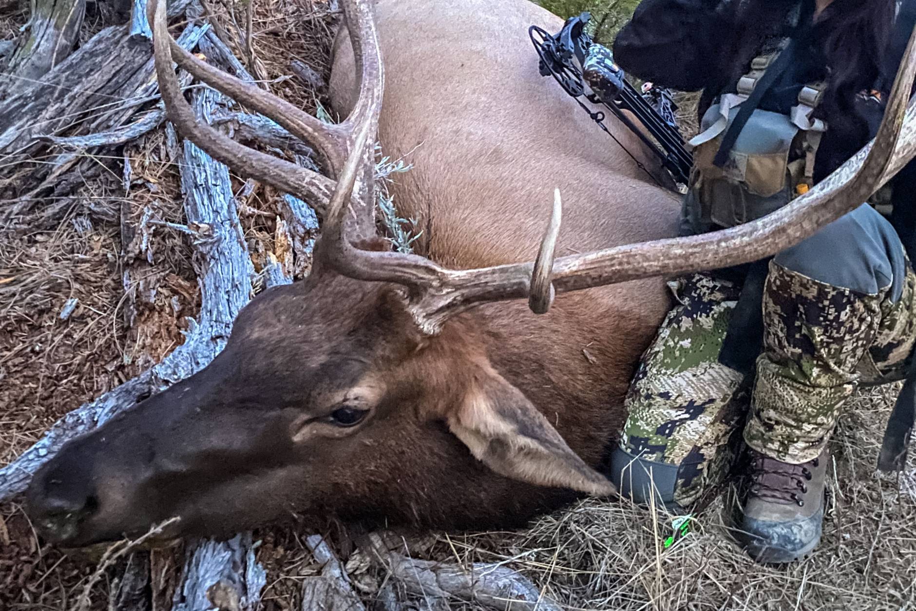 Warmth, Stability, Durability Schnee's Beartooth Hunting Boots