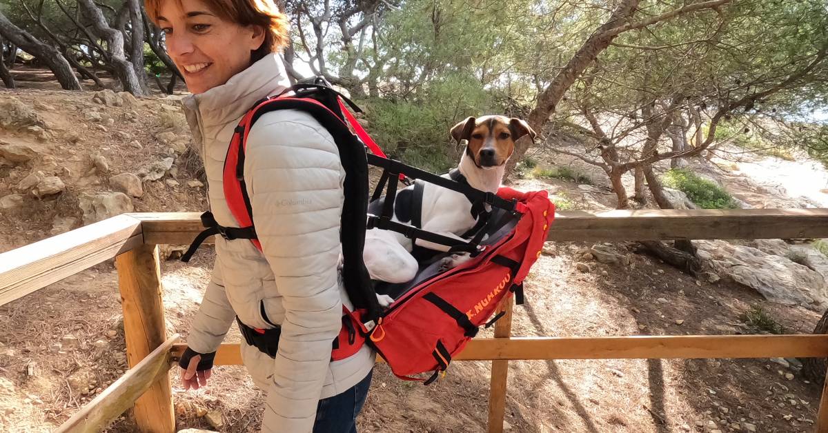 Emerging Gear: Accordion Backpack, Modular Cast Iron, Ibex Return, and More | 2021-05-06 - Vimarsana News